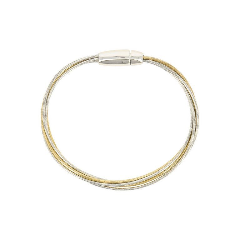 Pesavento DNA Armband bicolor